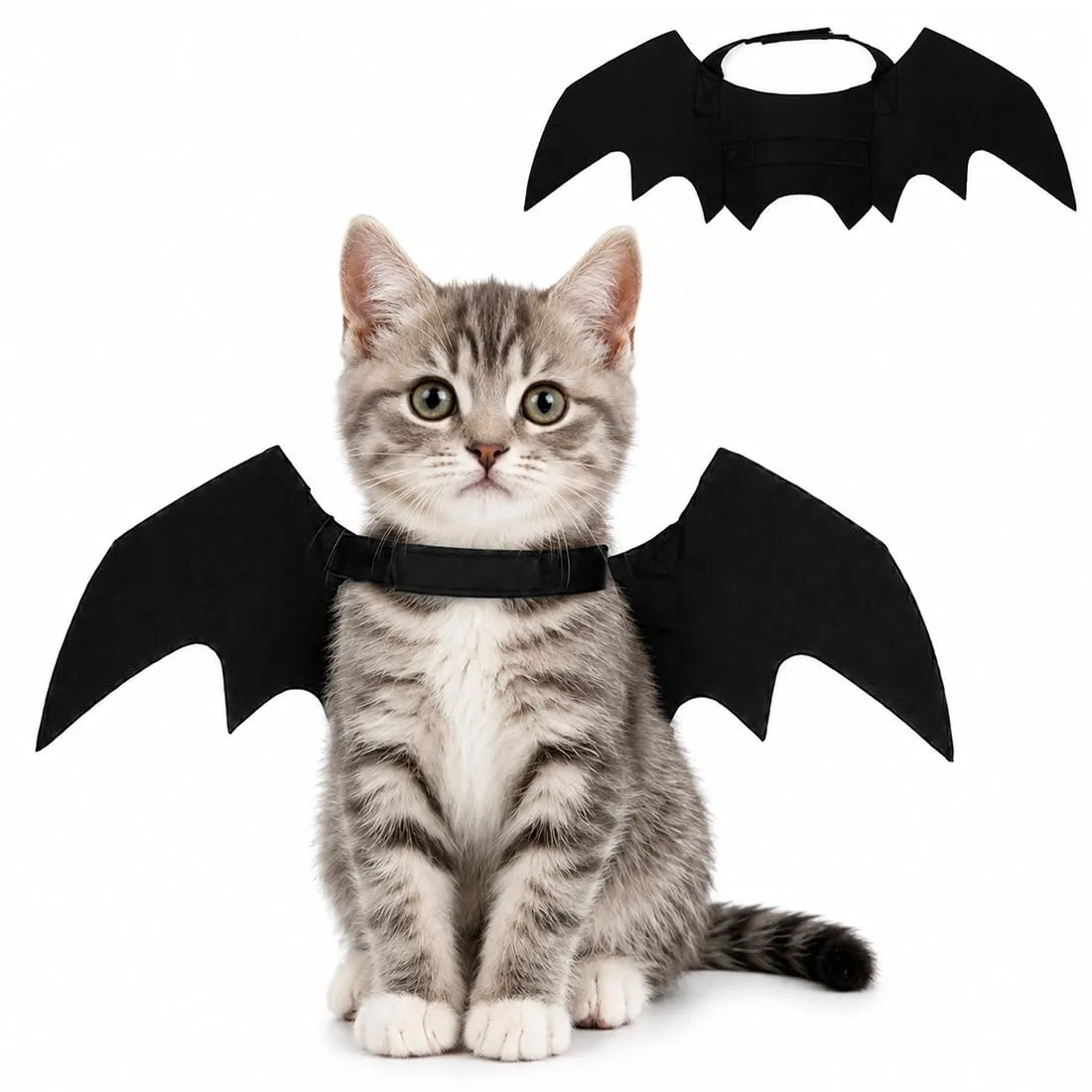 ODZFOS Ali di Pipistrello Costume per Animali Domestici Halloween, Taglia M - immagine 1