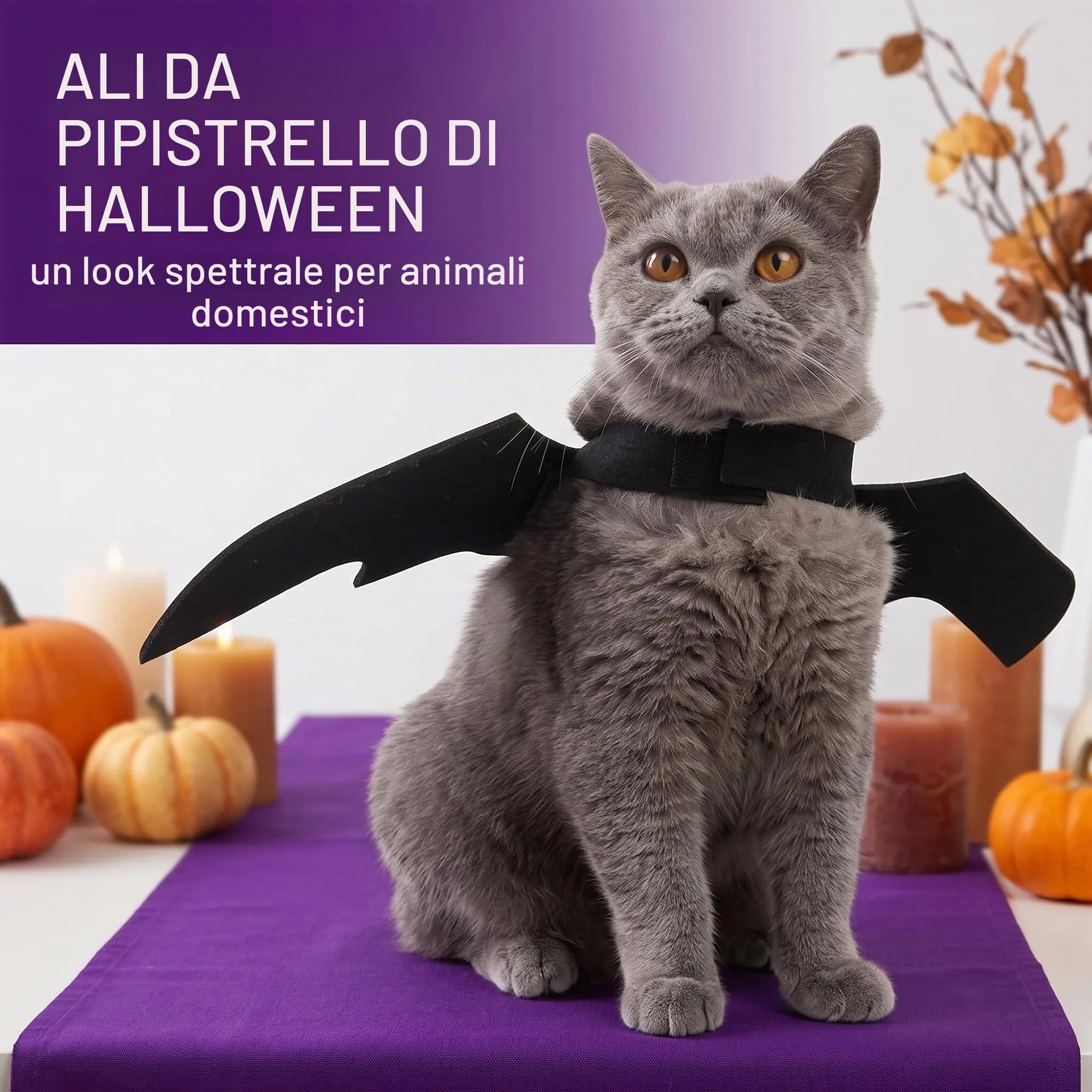 ODZFOS Ali di Pipistrello Costume per Animali Domestici Halloween, Taglia M - immagine 4