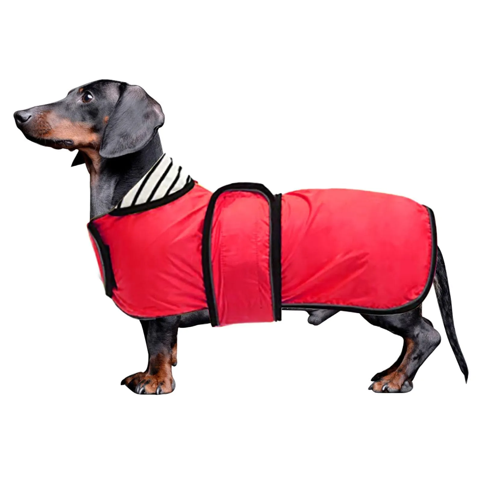 Impermeabile per cani Morezi, Rosso, XL - immagine 1