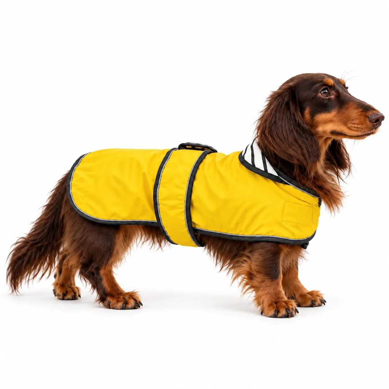 Impermeabile per cani Morezi, Giallo, S - immagine 7