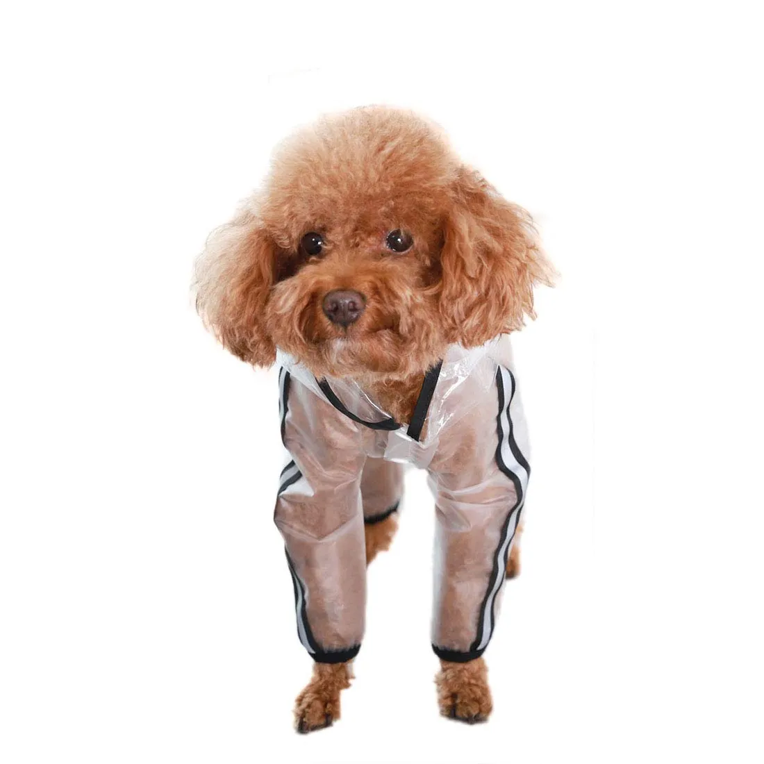 feiling Cappotto Impermeabile Trasparente per Cani, Giacca Poncho Antipioggia (M) - immagine 6