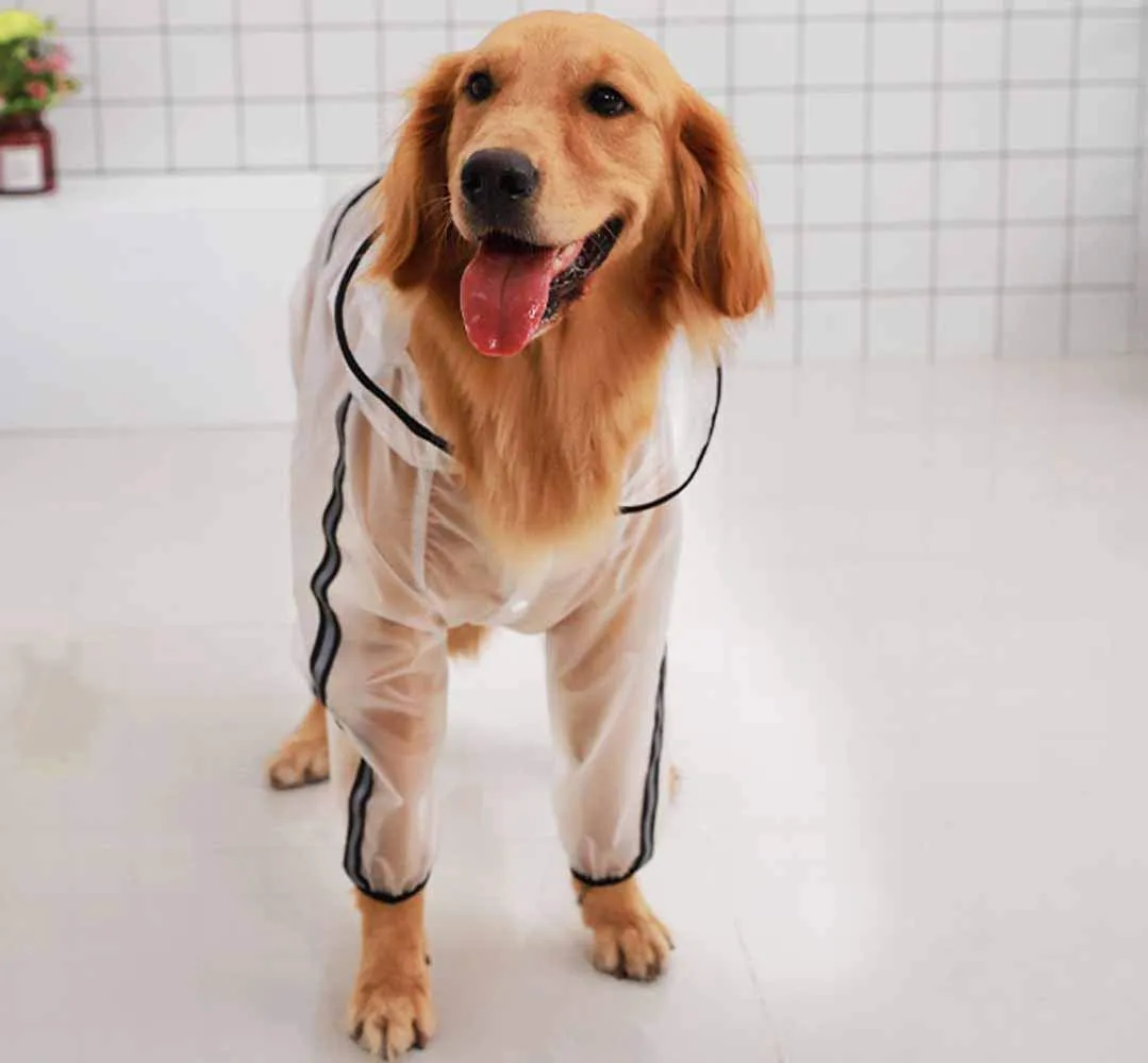 feiling Cappotto Impermeabile Trasparente per Cani, Giacca Antipioggia Poncho 4 Gambe (7XL) - immagine 6