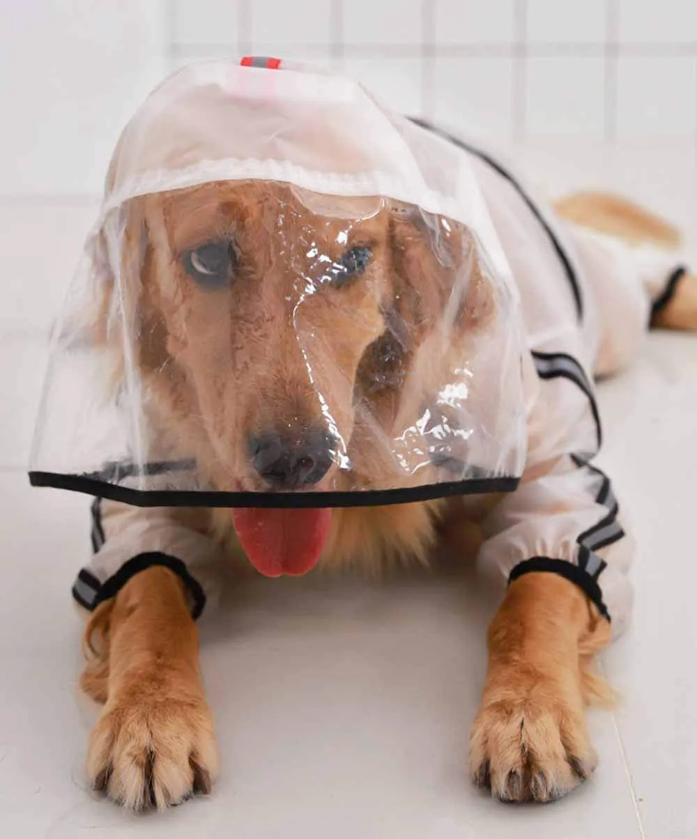 feiling Cappotto Impermeabile Trasparente per Cani, Giacca Poncho Antipioggia (S) - immagine 4