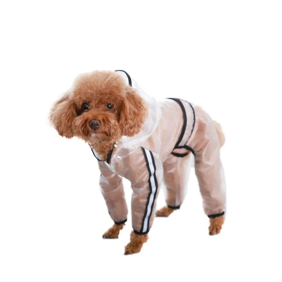 feiling Cappotto Impermeabile Trasparente per Cani, Giacca Poncho Antipioggia (S) - immagine 7