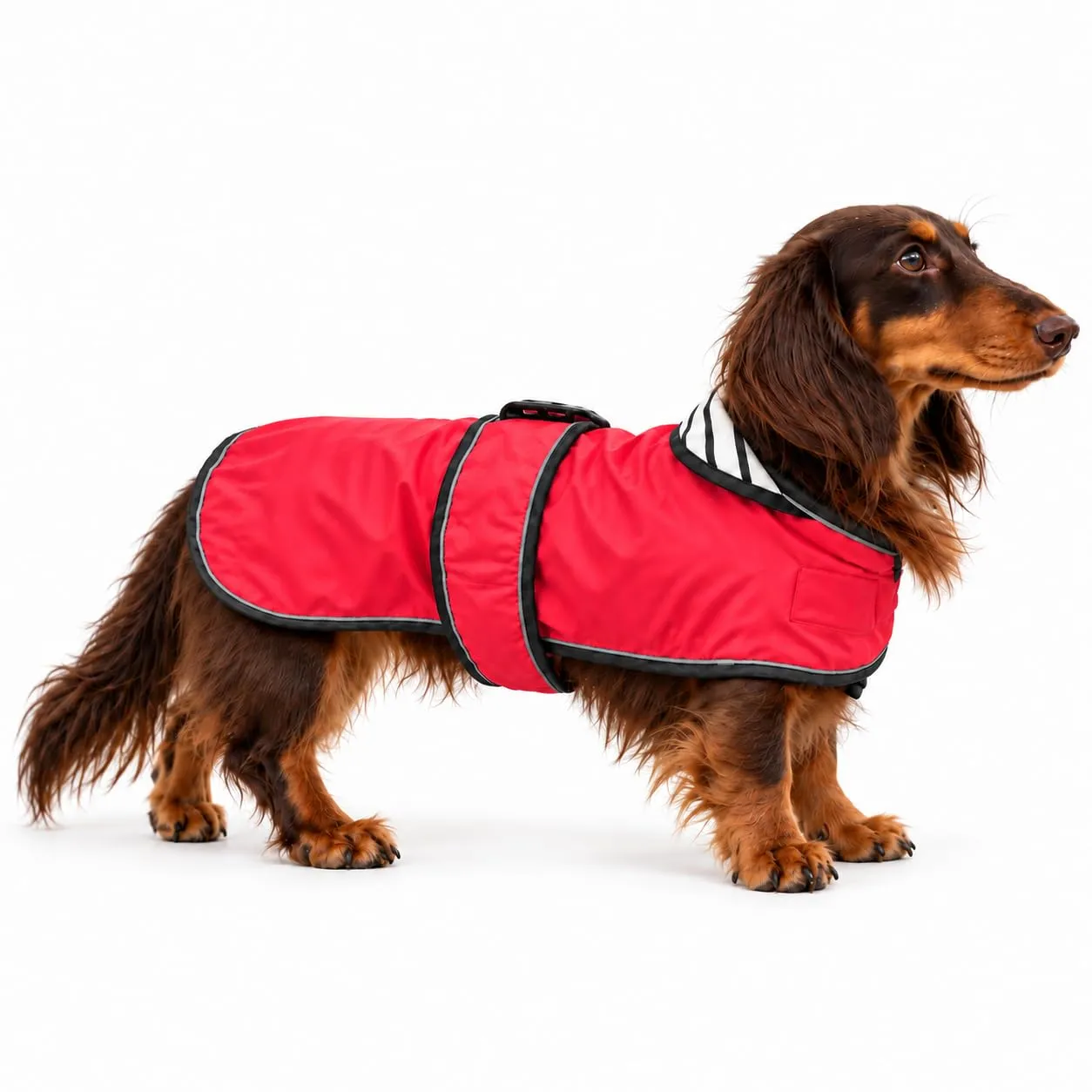 Impermeabile per cani Morezi, Rosso, M - immagine 7