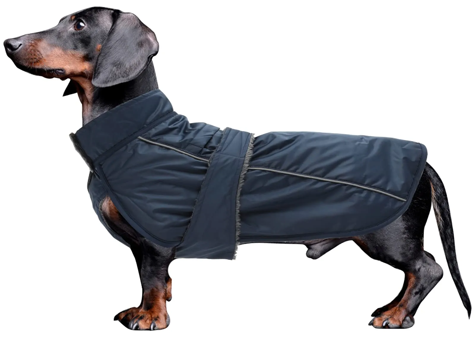 Morezi Impermeabile per Bassotti, Blu Navy, M - immagine 1