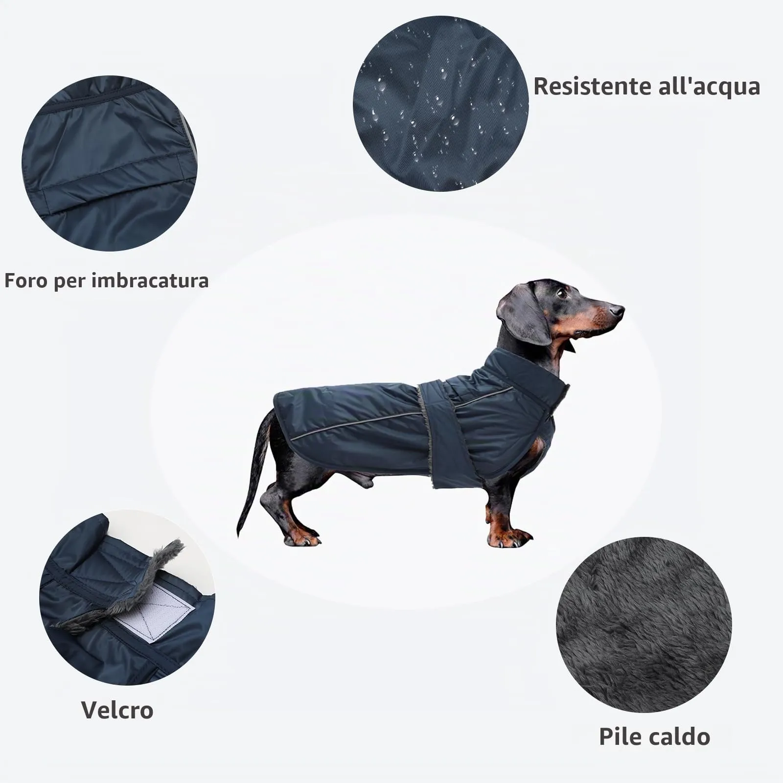 Morezi Impermeabile per Bassotti, Blu Navy, M - immagine 3