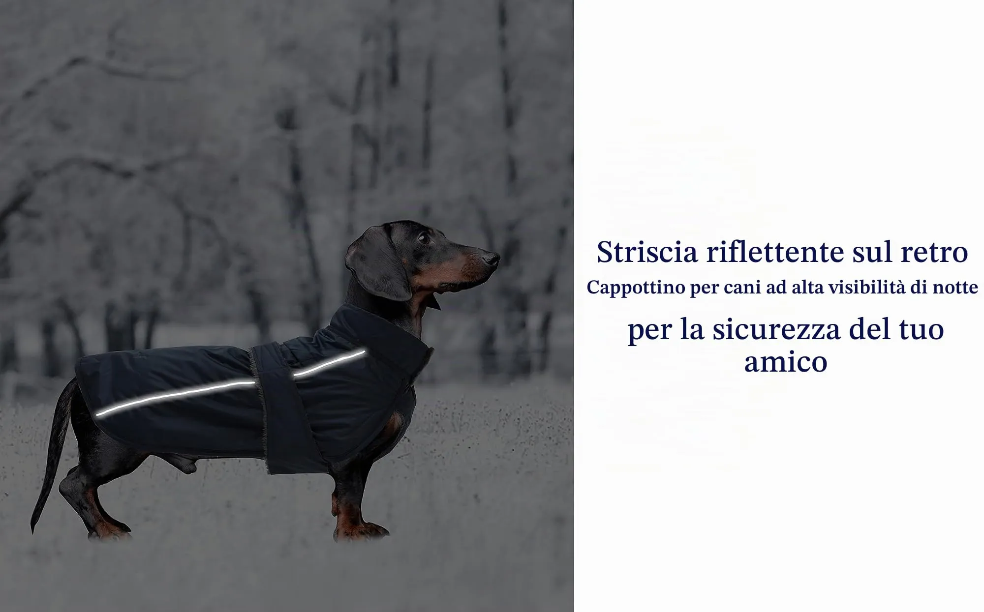 Morezi Impermeabile per Bassotti, Blu Navy, M - immagine 4