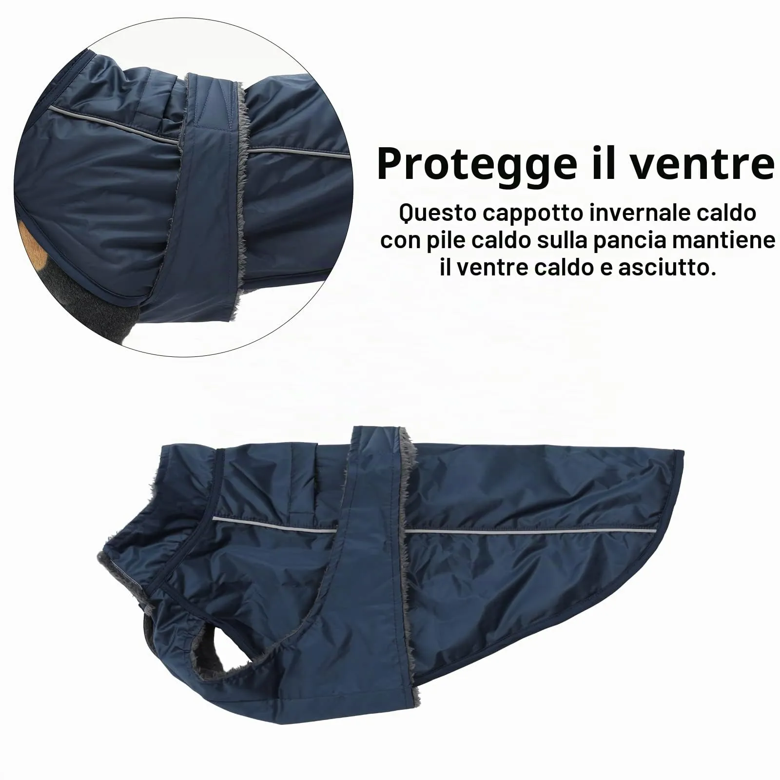 Morezi Impermeabile per Bassotti, Blu Navy, M - immagine 5