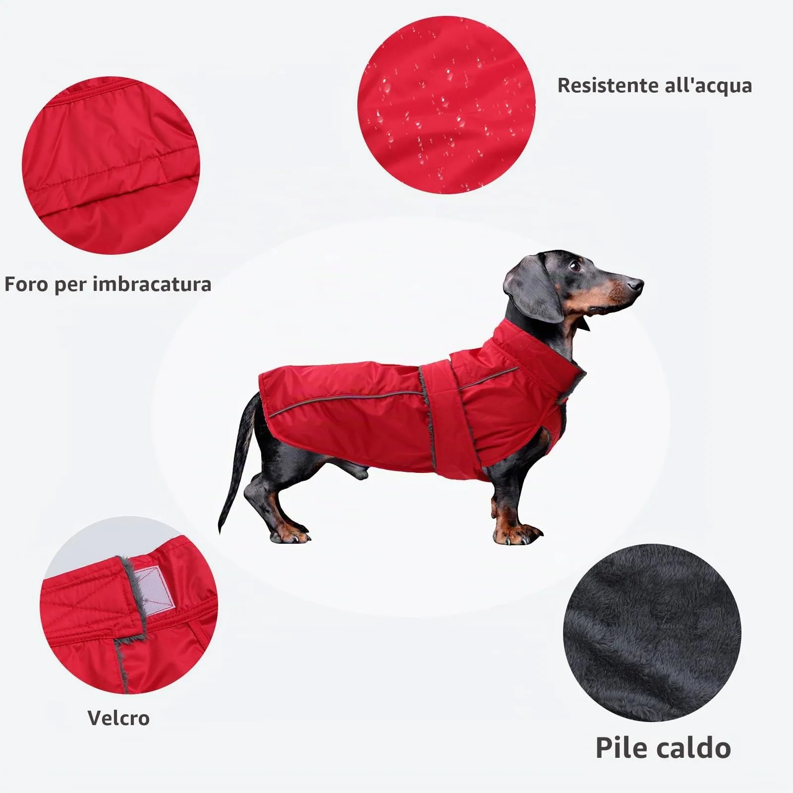 Morezi Impermeabile per Bassotti, Fodera in Pile e Finiture Riflettenti, Rosso, M - immagine 3