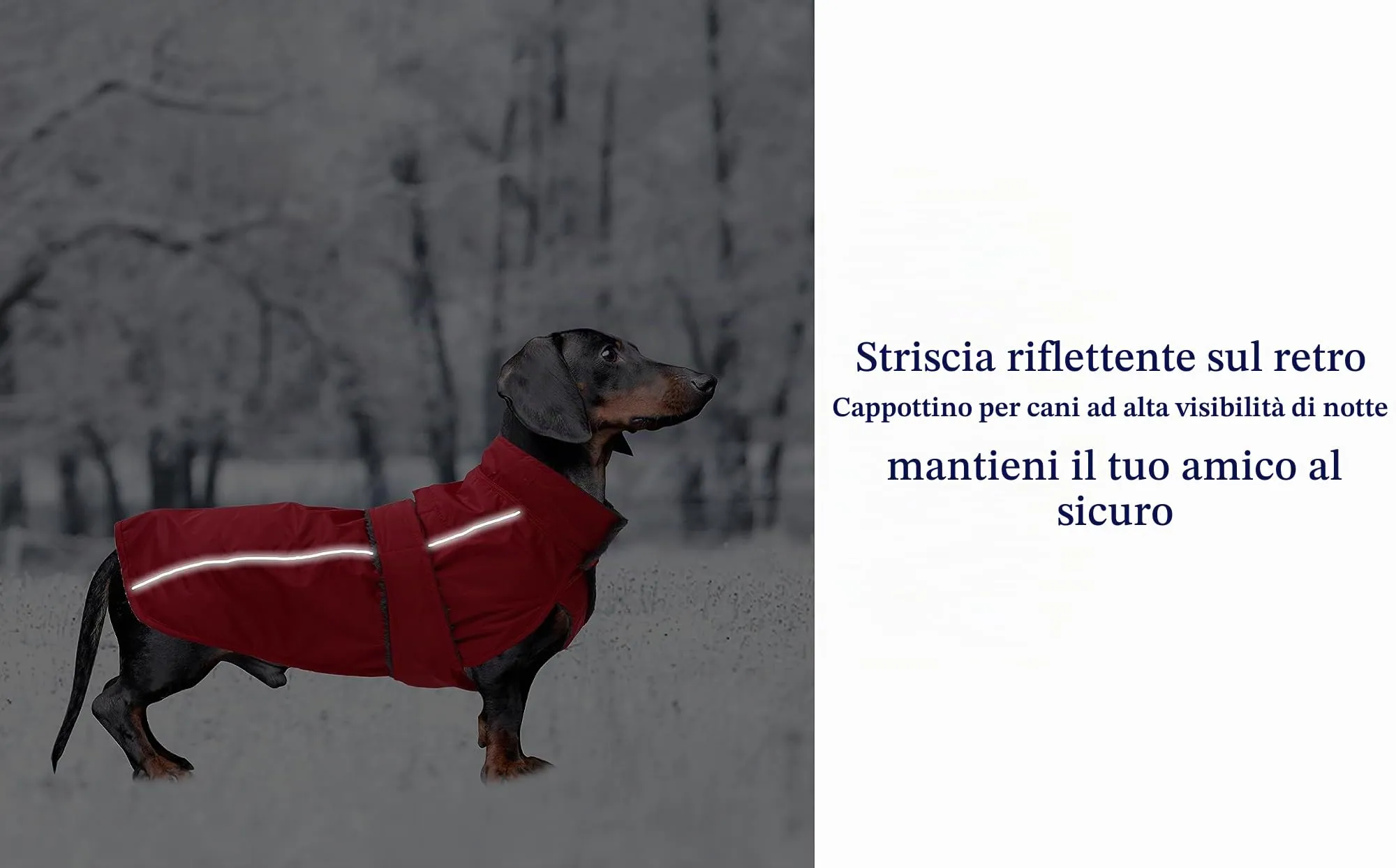 Morezi Impermeabile per Bassotti, Fodera in Pile e Finiture Riflettenti, Rosso, M - immagine 4
