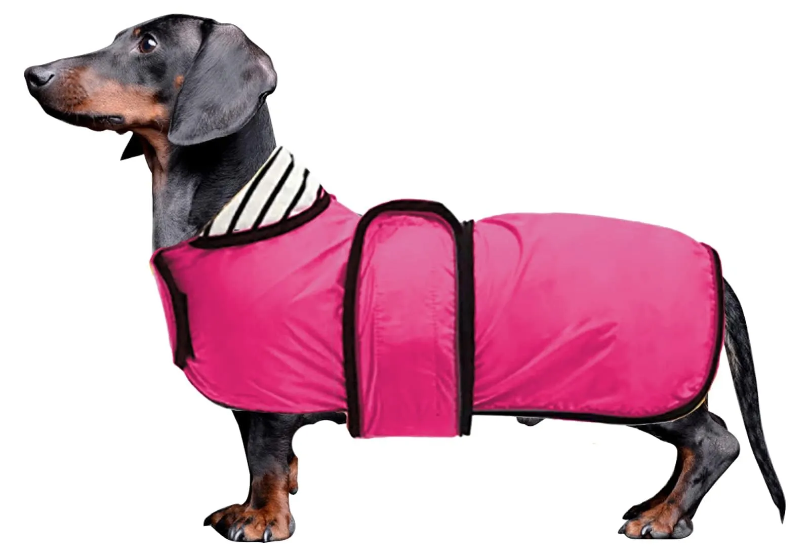 Impermeabile per cani Morezi, Rosa, XL - immagine 1