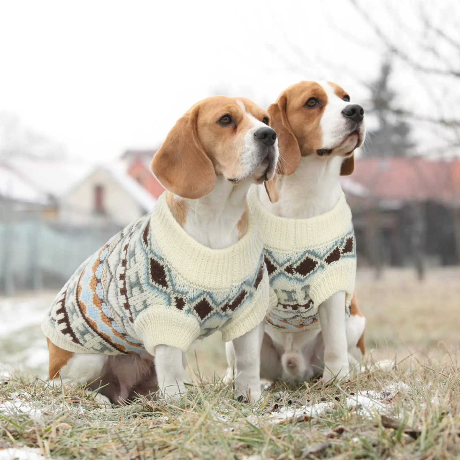 Hjumarayan Maglione per Cani di Taglia Piccola Media, Inverno, Beige (S) - immagine 2
