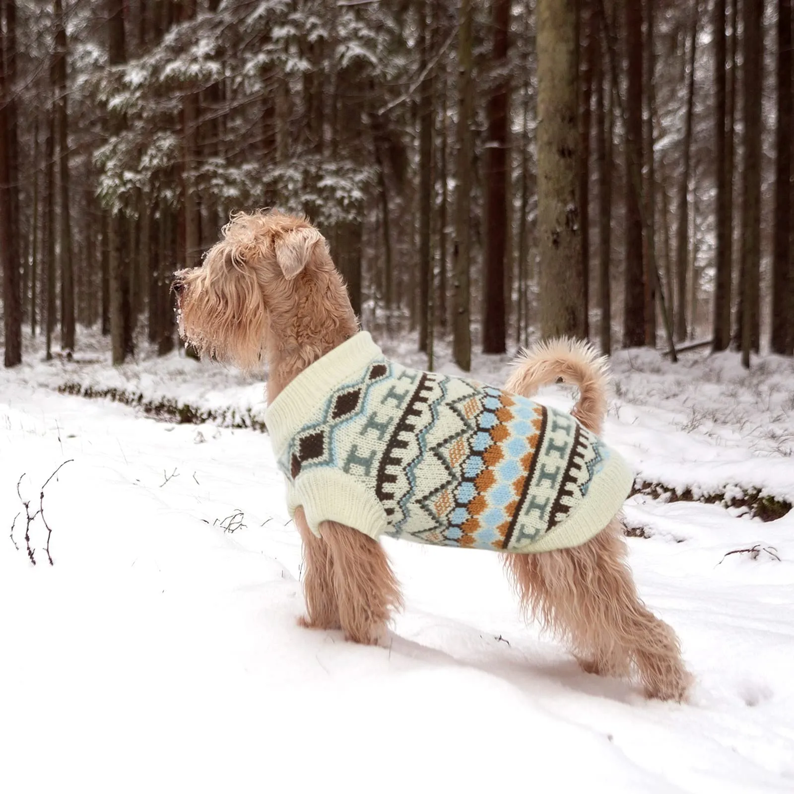 Hjumarayan Maglione per Cani di Taglia Piccola Media, Inverno, Beige (S) - immagine 6