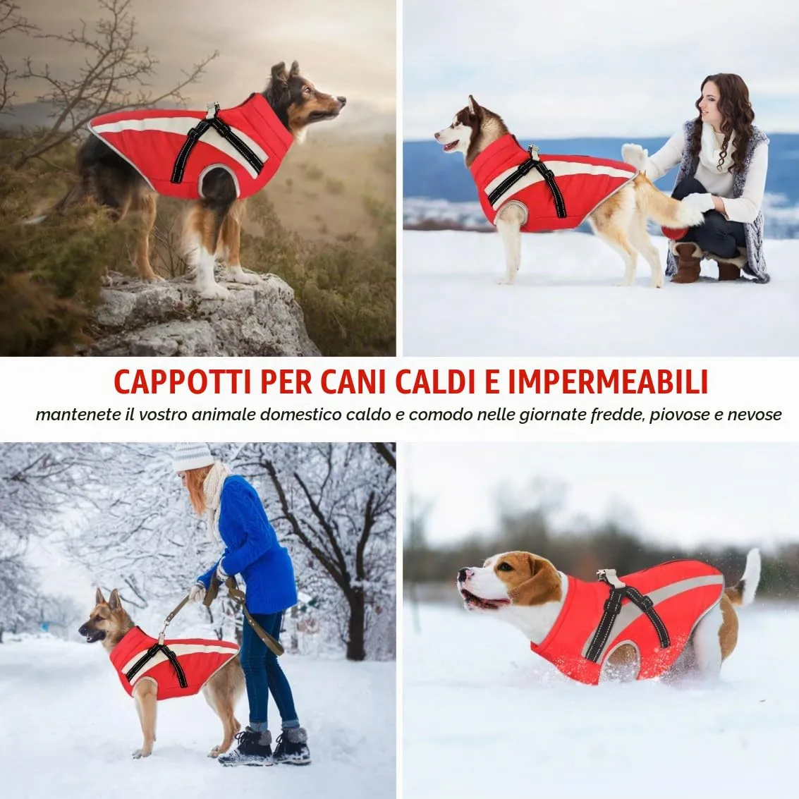 Oslueidy Cappotto Impermeabile per Cane con Harness, Giacca Invernale Calda Antivento, Taglia XL - immagine 5