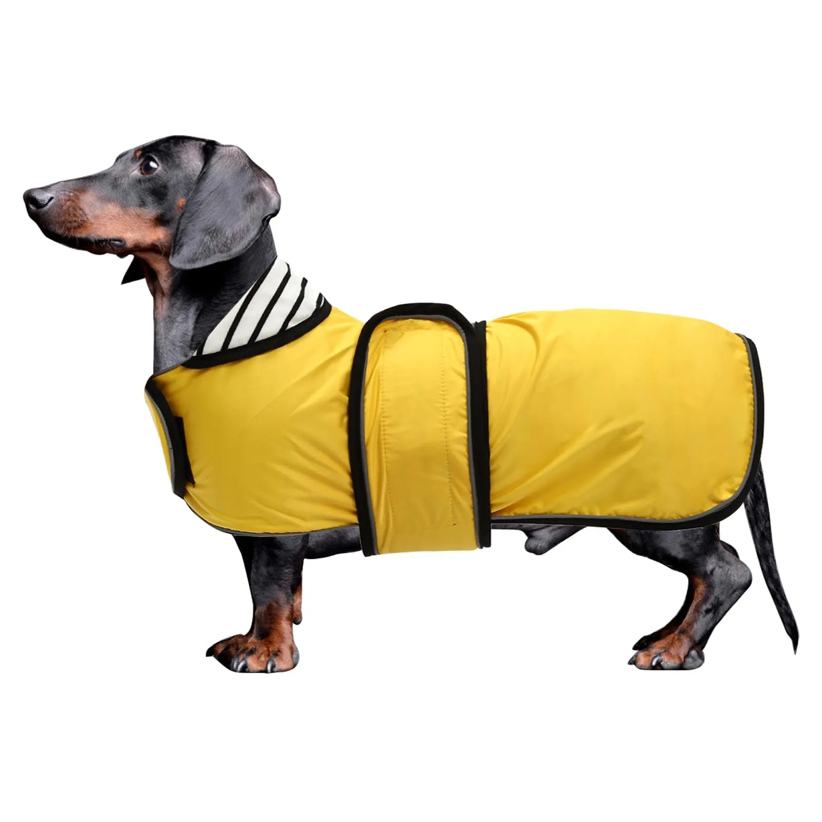 Morezi Cappotto Impermeabile per Bassotti e Cani a Schiena Lunga con Striscia Riflettente e Foro per Imbracatura - immagine 1