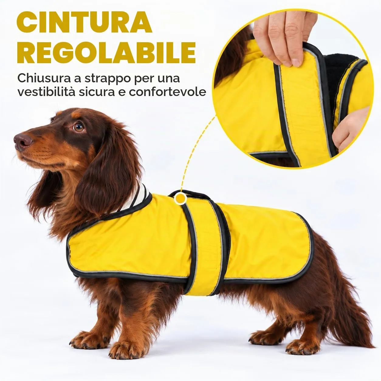 Morezi Cappotto Impermeabile per Bassotti e Cani a Schiena Lunga con Striscia Riflettente e Foro per Imbracatura - immagine 3