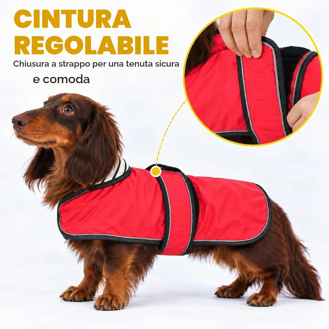 Morezi Impermeabile per Cani con Strisce Riflettenti, Gilet Regolabile, Rosso, XS - immagine 3