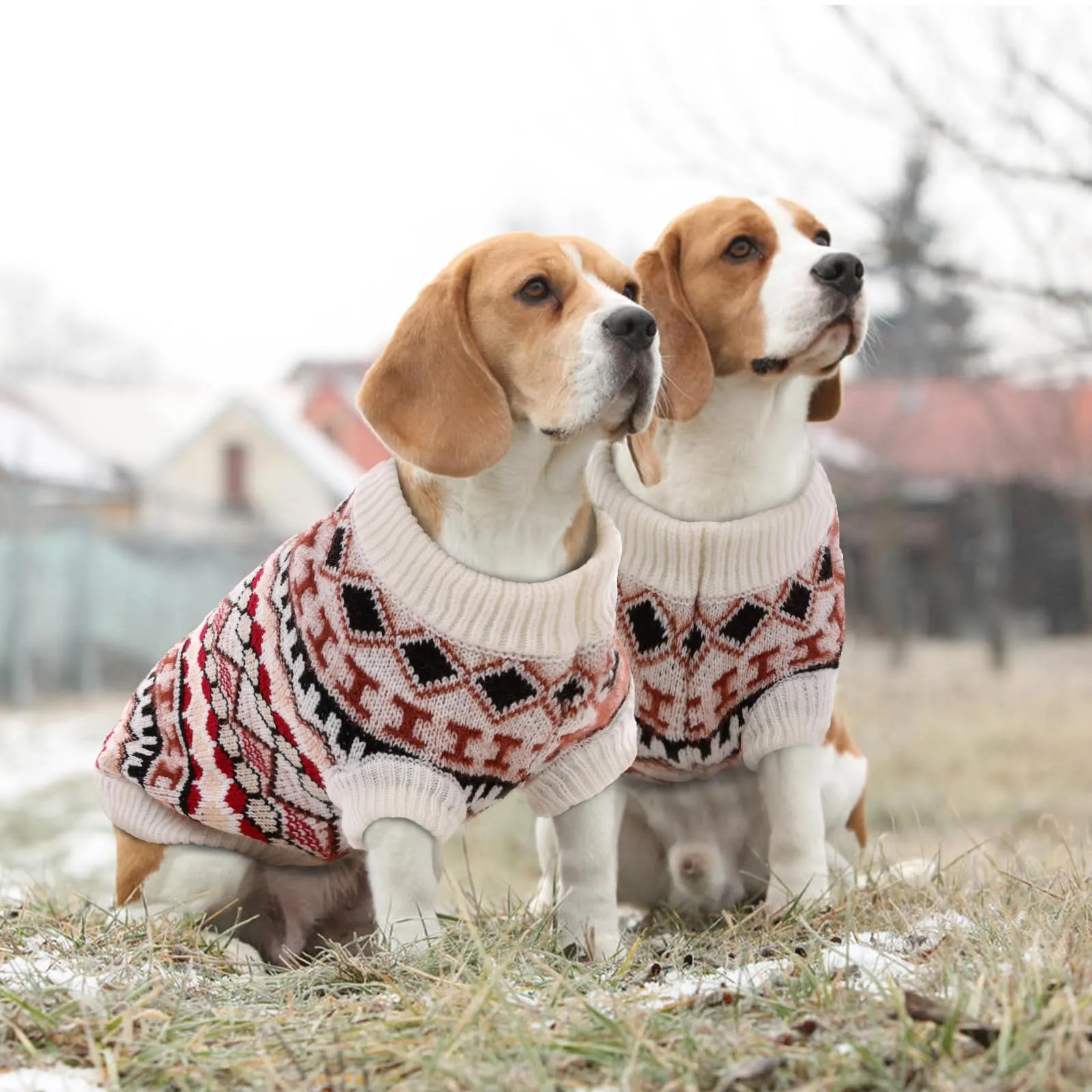 Hjumarayan Maglione Natalizio per Cane Boho con Bordo a Coste Elasticizzato, Rosso XS - immagine 6
