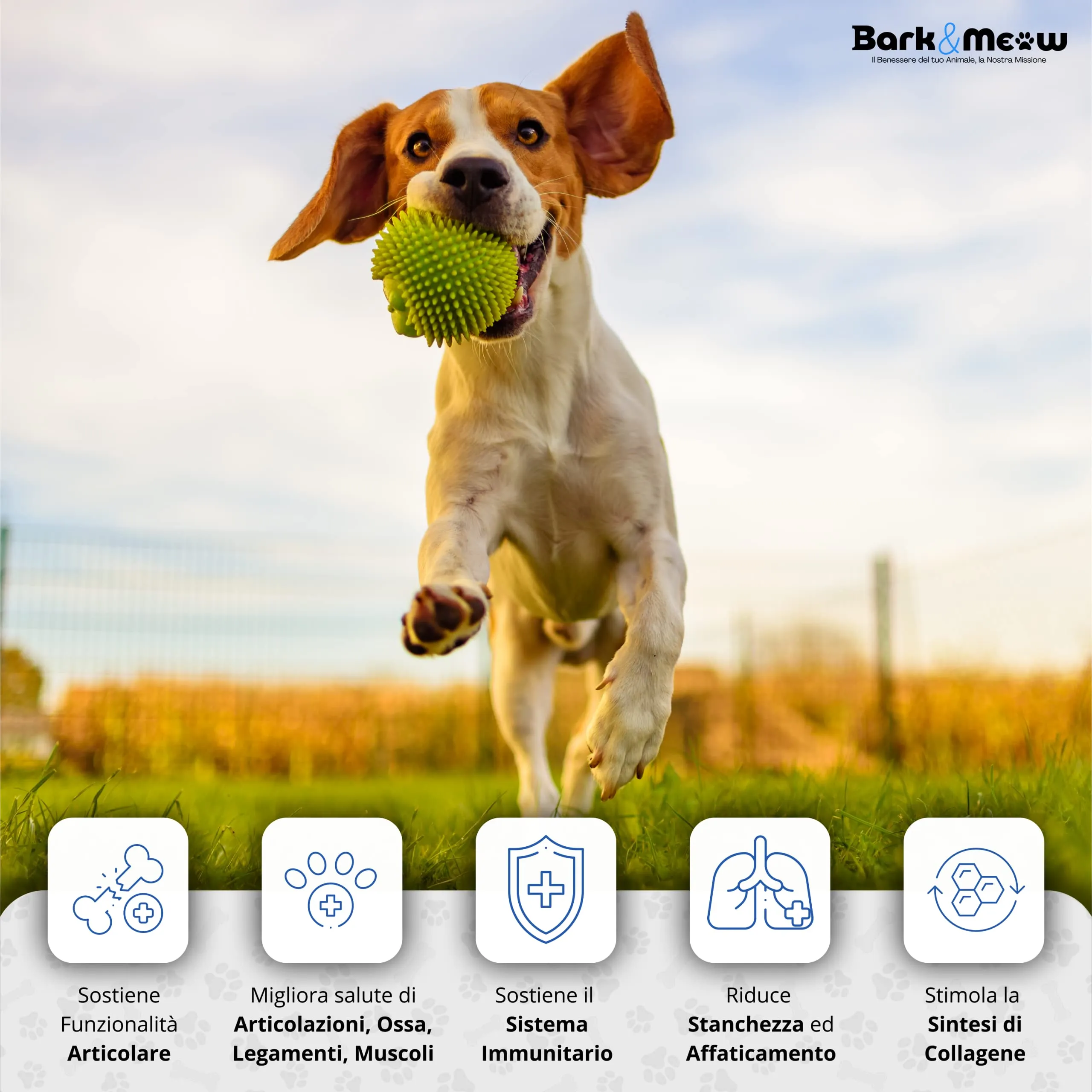 Bark & Meow CondroAct Plus Integratore Articolazioni Cane e Gatto, 120 Compresse - immagine 2