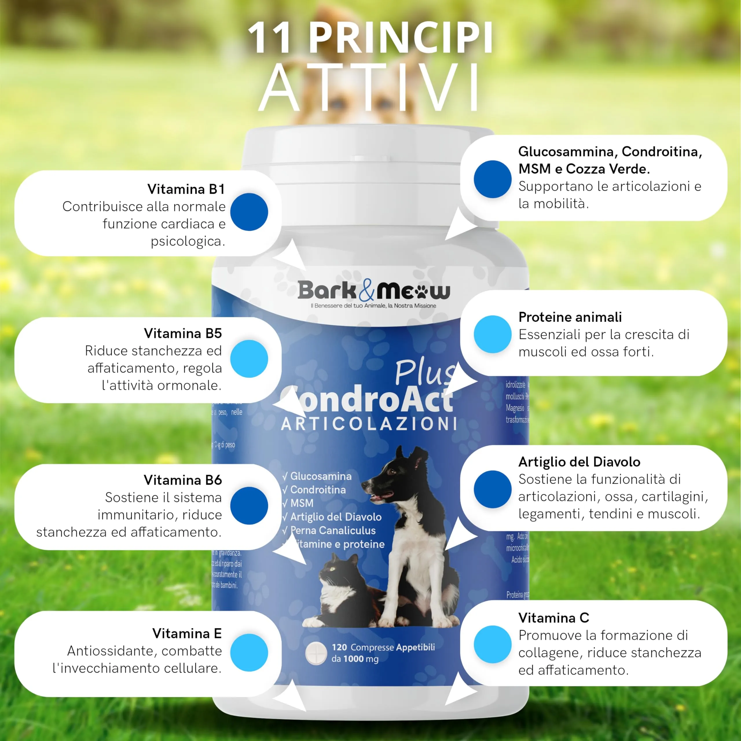 Bark & Meow CondroAct Plus Integratore Articolazioni Cane e Gatto, 120 Compresse - immagine 3