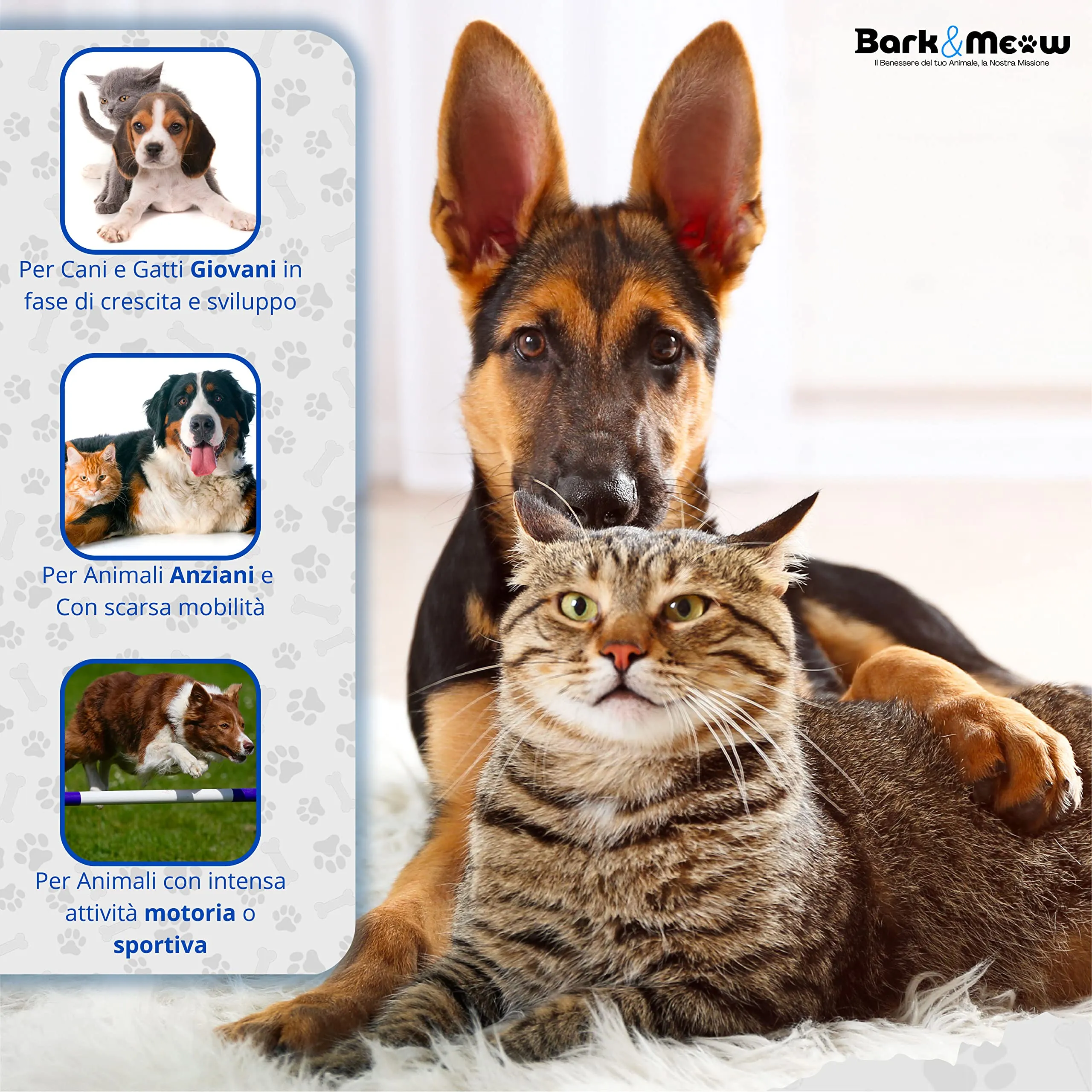 Bark & Meow CondroAct Plus Integratore Articolazioni Cane e Gatto, 120 Compresse - immagine 4