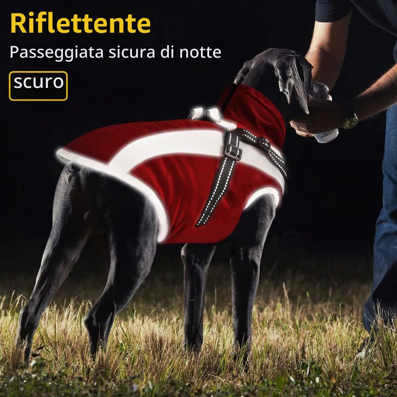 Oslueidy Cappotto Impermeabile per Cane con Harness, Giacca Calda Antivento per Cani Piccola Taglia Media XL-6XL - immagine 4