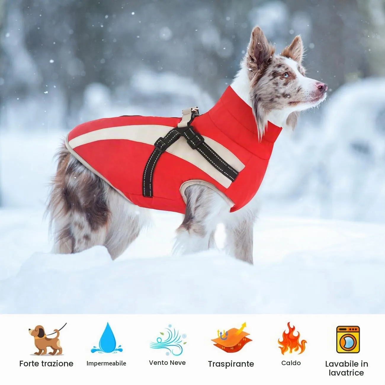 Oslueidy Cappotto Impermeabile per Cane con Harness, Giacca Calda Antivento per Cani Piccola Taglia Media XL-6XL - immagine 7