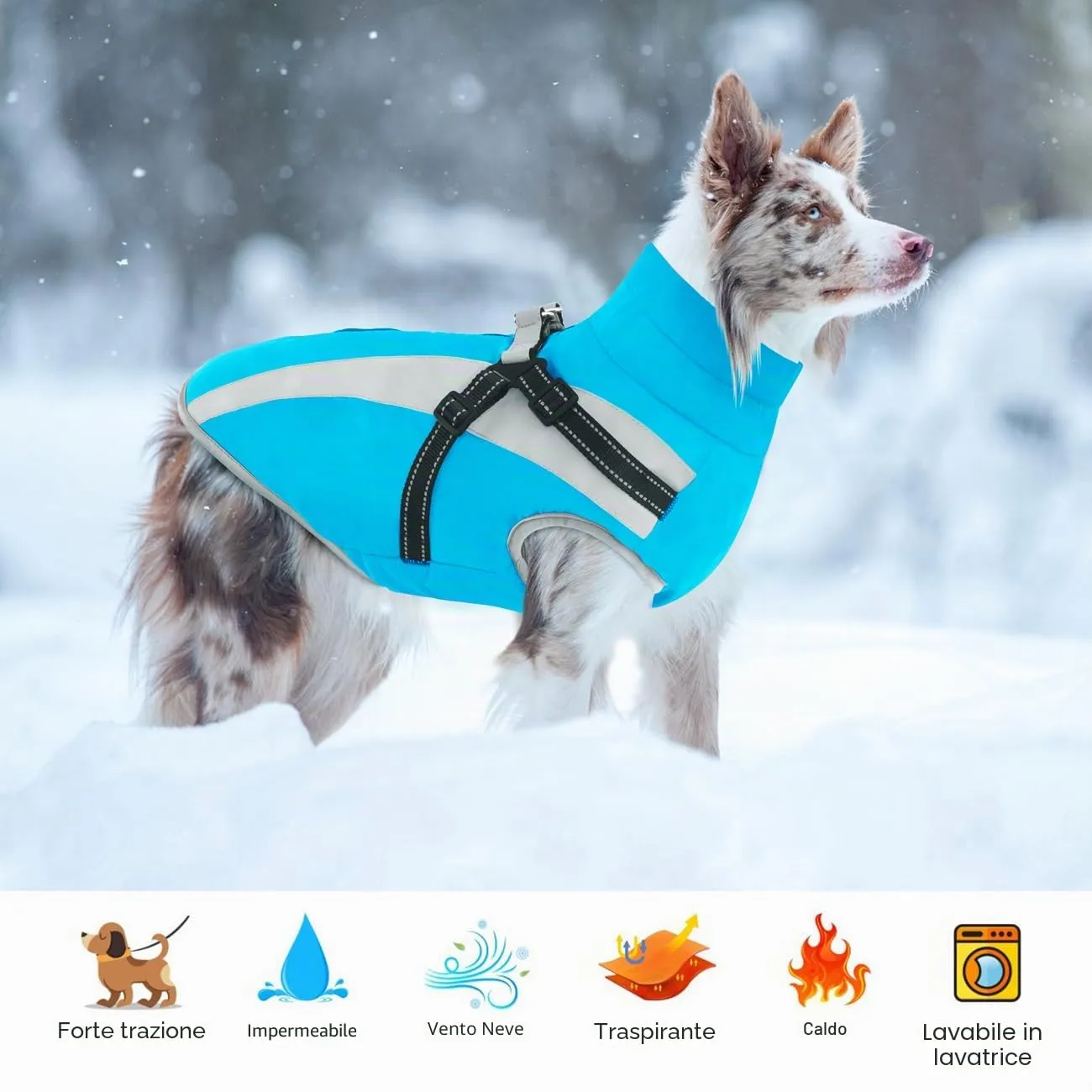 Oslueidy Cappotto Impermeabile per Cane con Harness, Giacca Invernale Antivento, Taglia 4XL, Blu - immagine 5