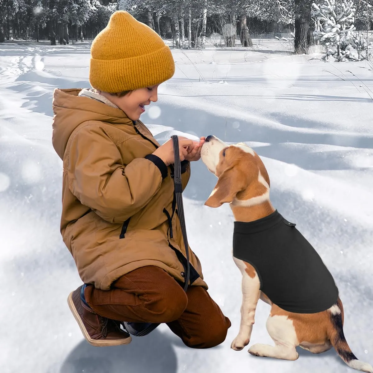 FFTANXS Maglioncino e Cappottino per Cani e Gatti di Taglia Piccola con Anello a D, Nero, L - immagine 5
