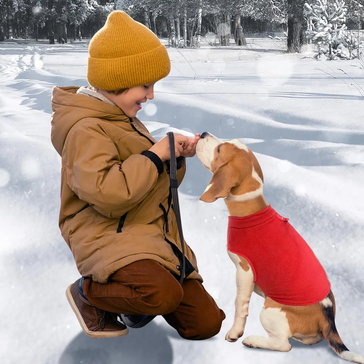 FFTANXS Maglioncino e Cappottino per Cani e Gatti di Taglia Piccola con Anello a D, Rosso, S - immagine 6