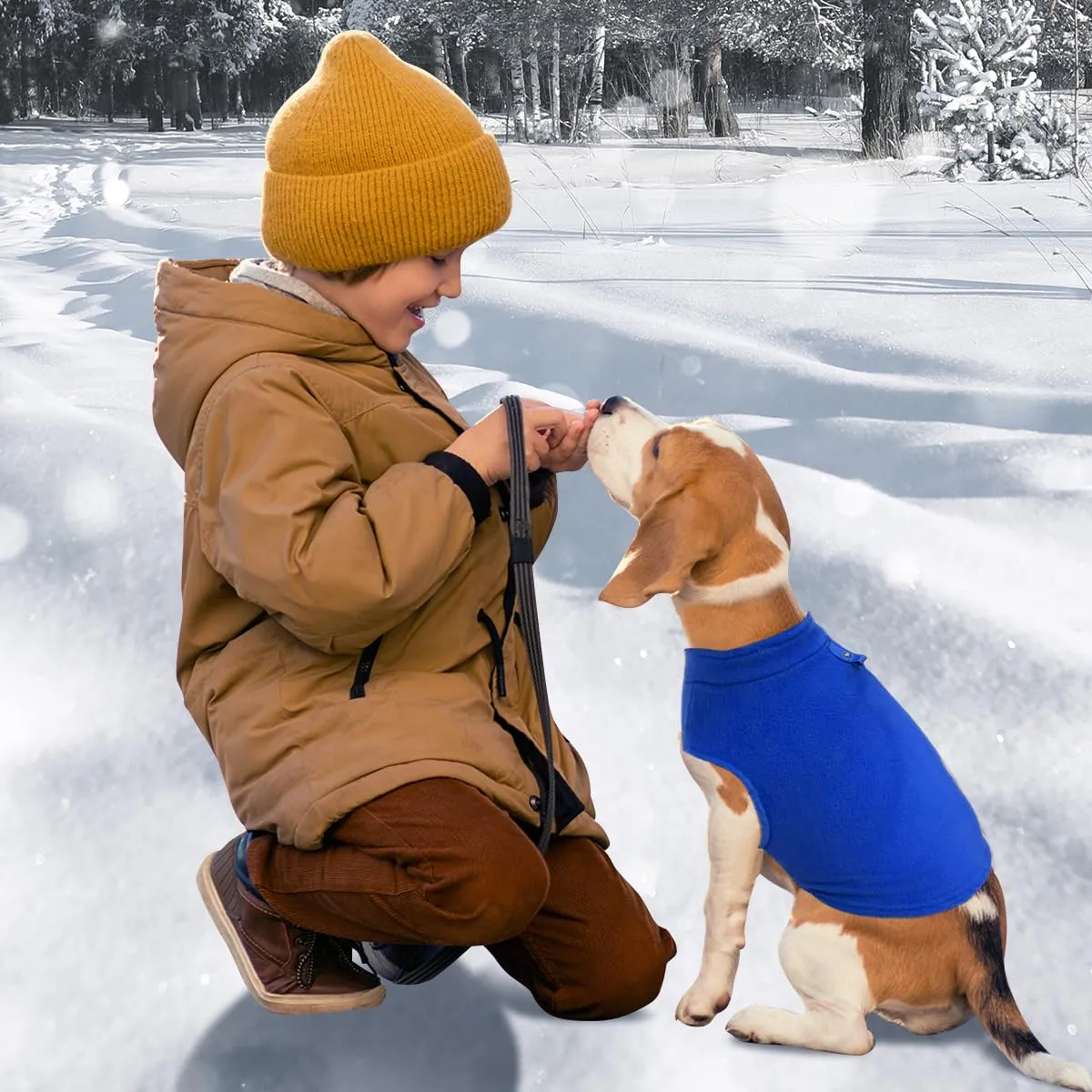 FFTANXS Maglioncino per Cani e Gatti con Anello a D, Blu, S - immagine 6