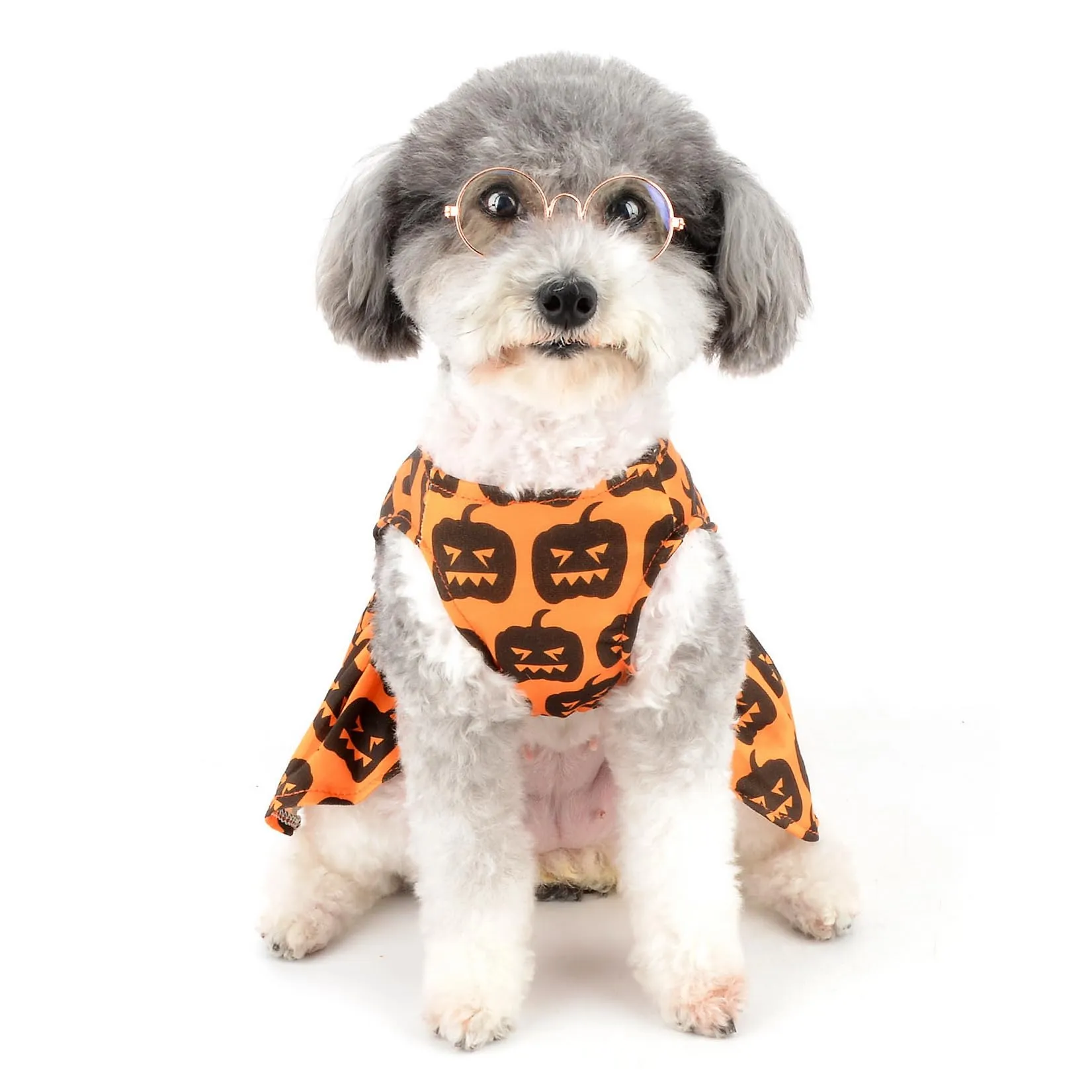 Zunea Costume di Halloween per cani e gatti di piccola taglia, stampa zucca con fiocco, arancione, S - immagine 7