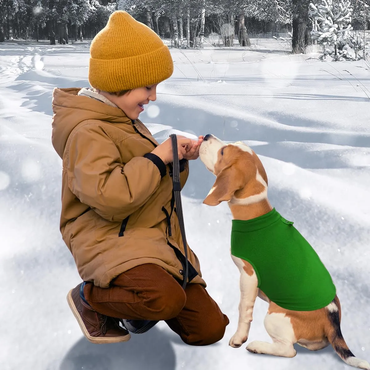 FFTANXS Cappotto con imbracatura per cani di piccola taglia, verde, L - immagine 7