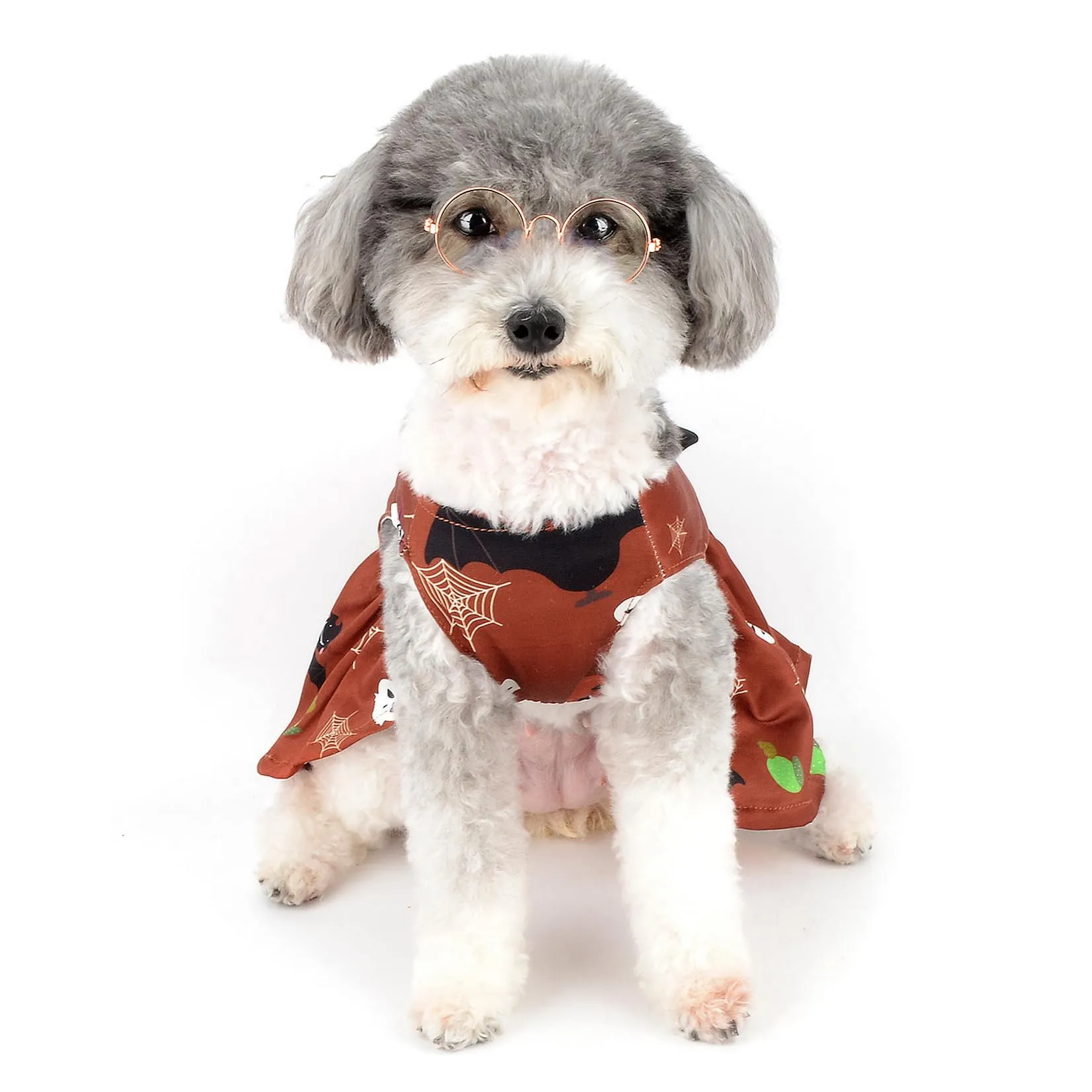Zunea Costume di Halloween per cani di piccola taglia e gatti, stampa zucca fantasmi e pipistrello, gonna morbida con fiocco - immagine 7