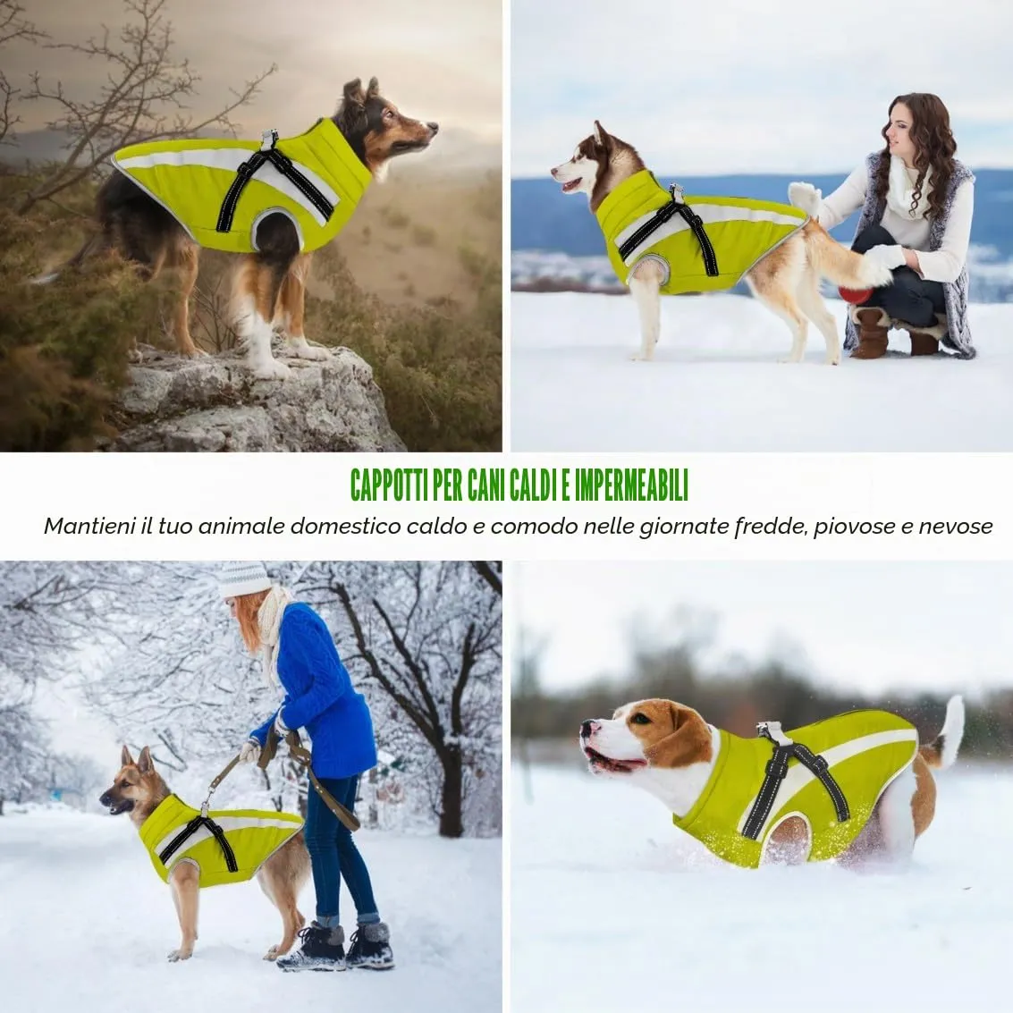 Oslueidy Cappotto Impermeabile per Cane con Harness, Giacca Calda Antivento per Cani Piccola, Media e Grande Taglia, 4XL, Verde - immagine 3