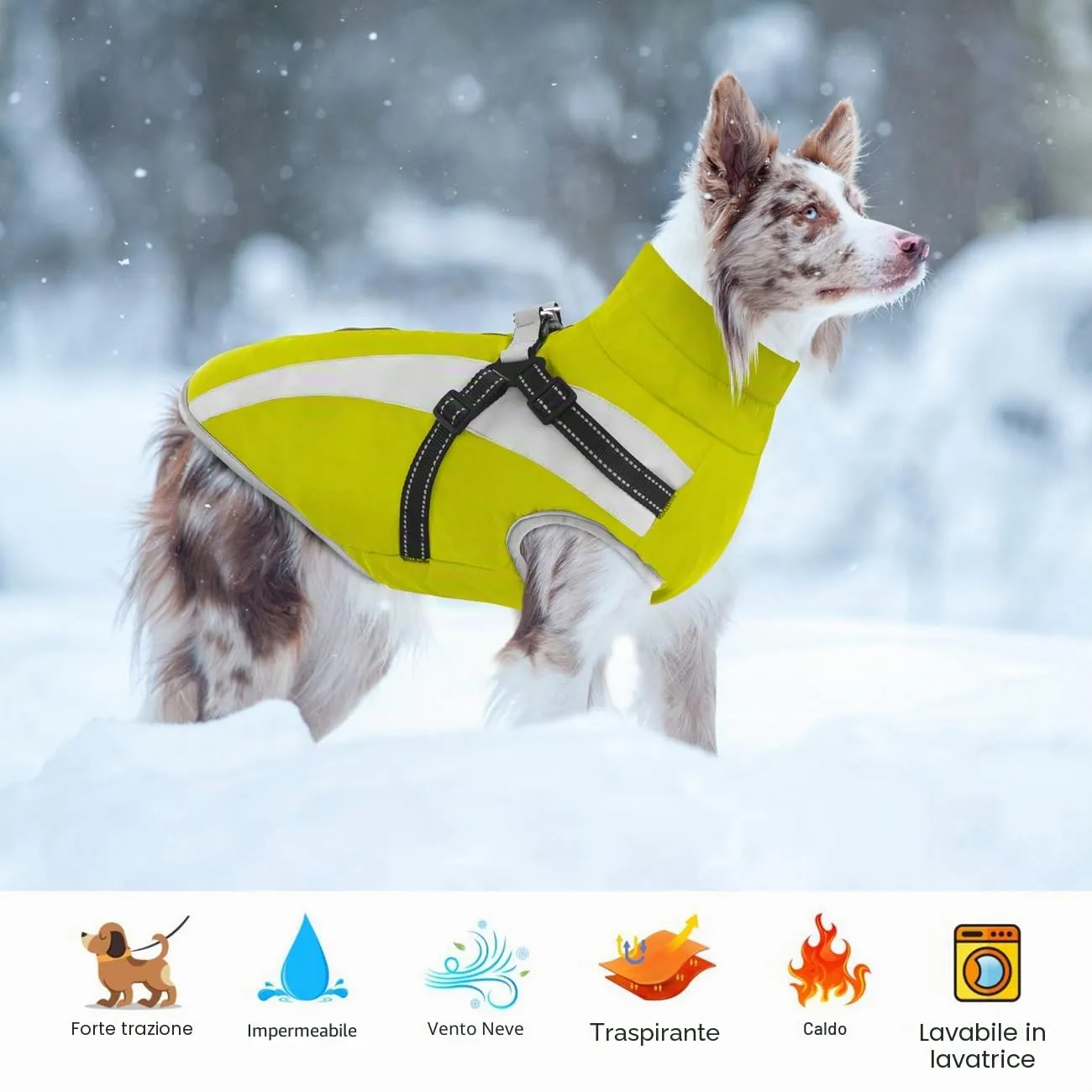 Oslueidy Cappotto Impermeabile per Cane con Harness, Giacca Calda Antivento per Cani Piccola, Media e Grande Taglia, 4XL, Verde - immagine 5