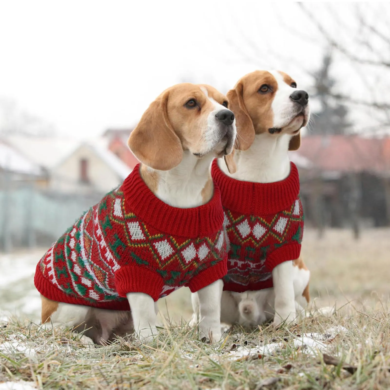 Hjumarayan Maglione Natale per Cane in Maglia Elasticizzata, Rosso-Verde M - immagine 7