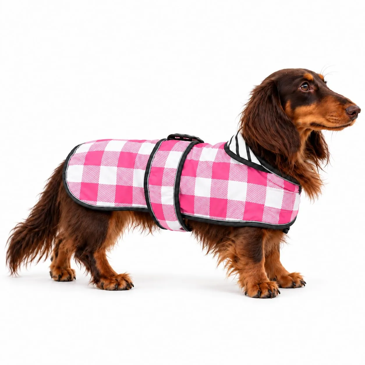 Morezi Cappotto Impermeabile per Bassotto, Quadretti Rosa, M - immagine 7