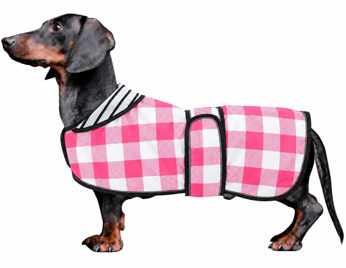 Morezi Cappotto Impermeabile per Bassotto Miniatura, Rosa a Quadri, X-Small - immagine 1
