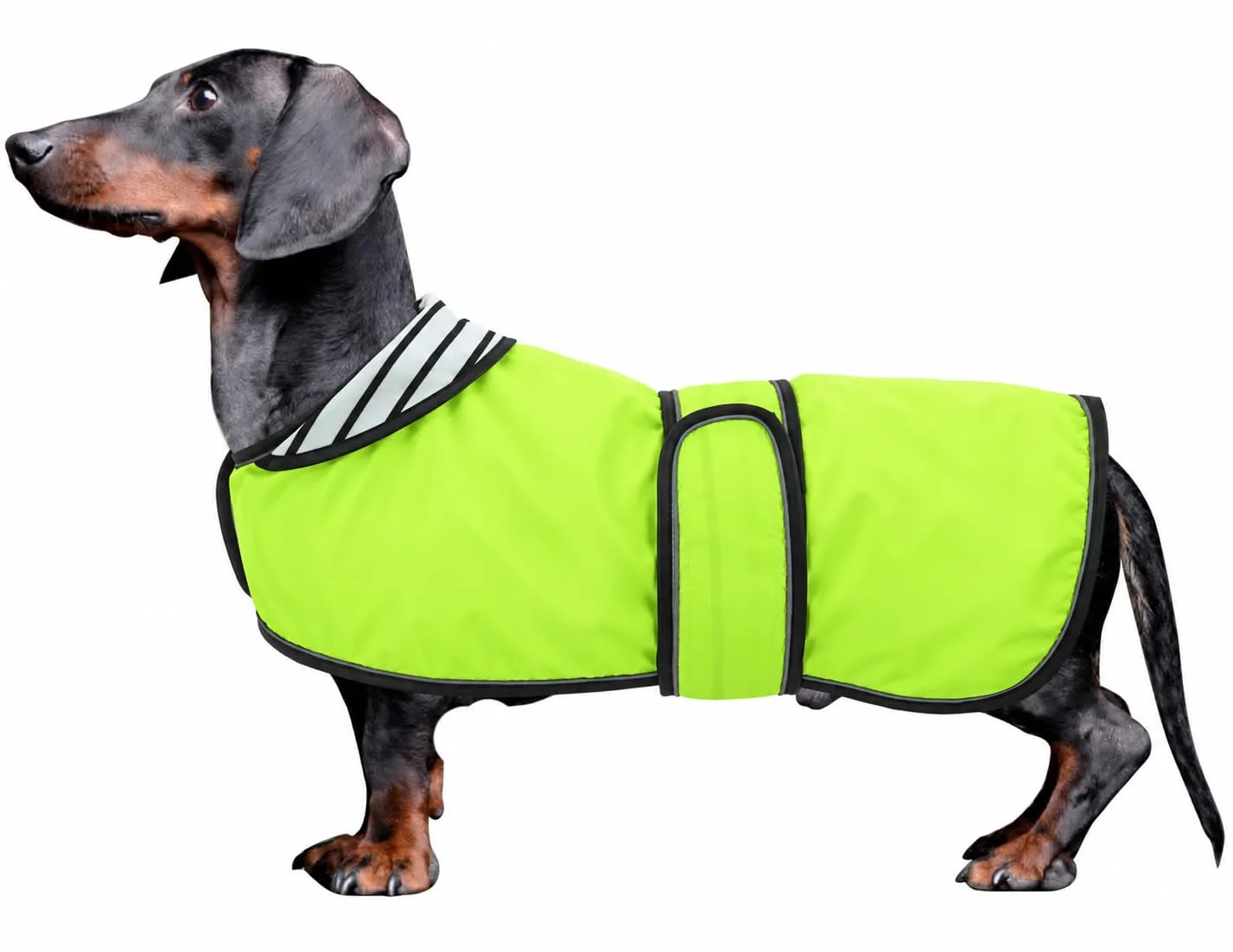 Impermeabile per cani Morezi, taglia L, Verde - immagine 1