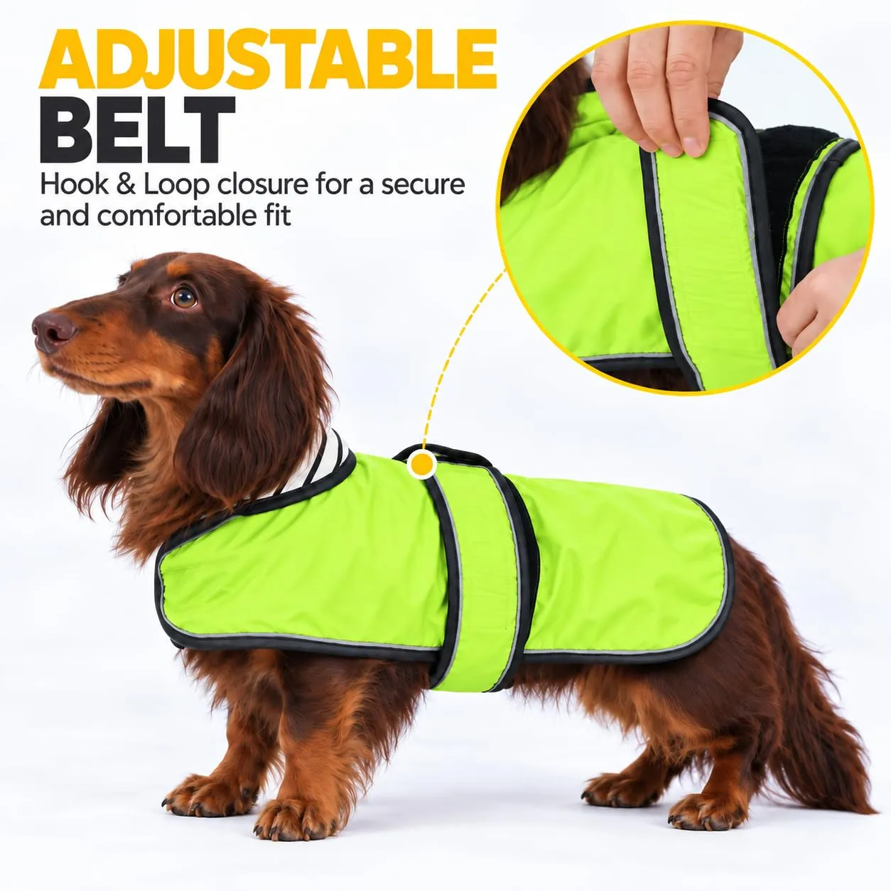 Impermeabile per cani Morezi, taglia L, Verde - immagine 3