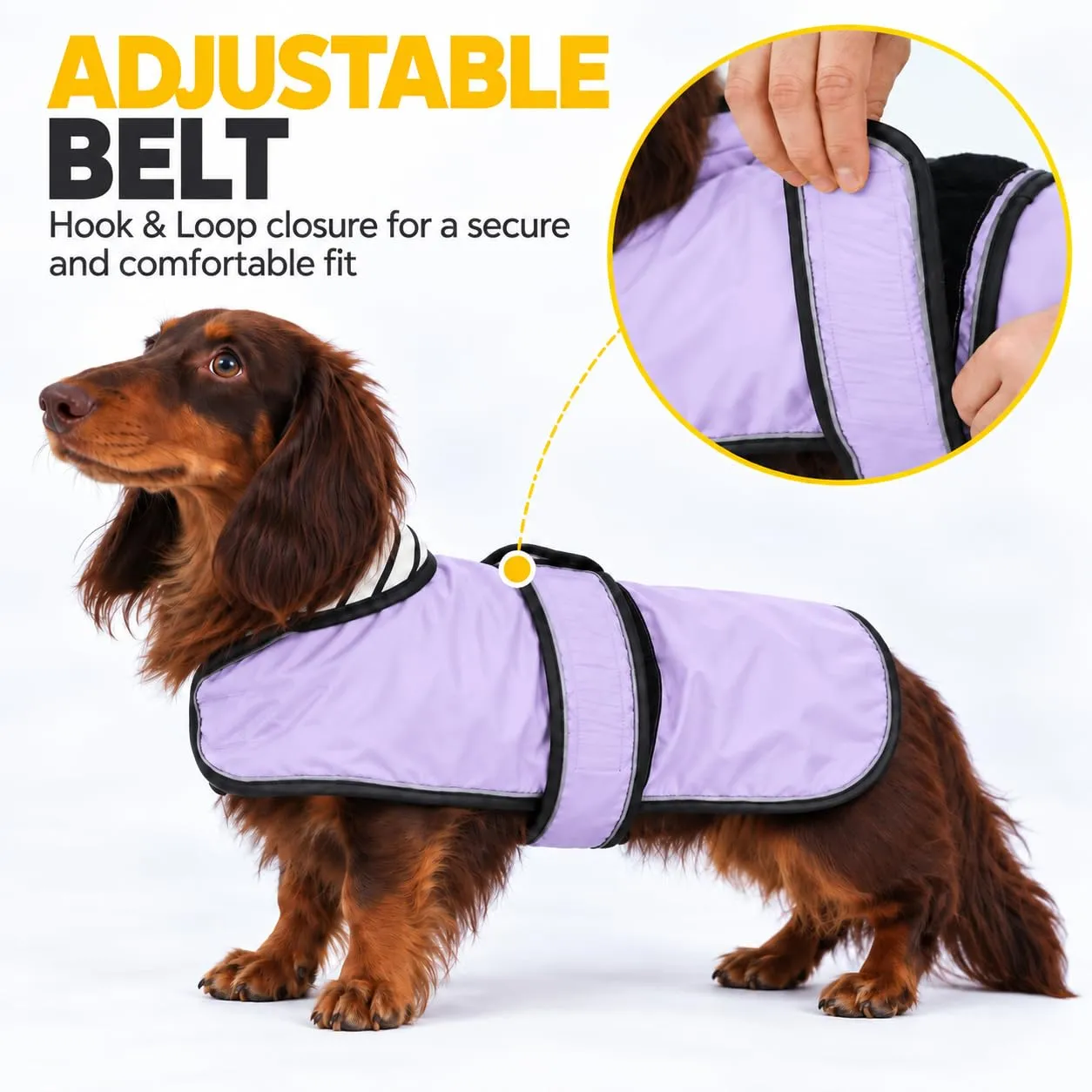 Impermeabile per cani Morezi, Viola, M - immagine 3