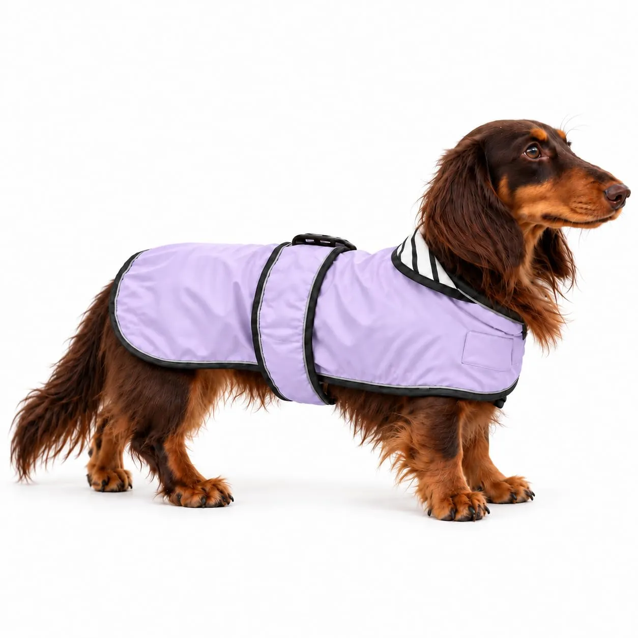 Impermeabile per cani Morezi, Viola, M - immagine 7