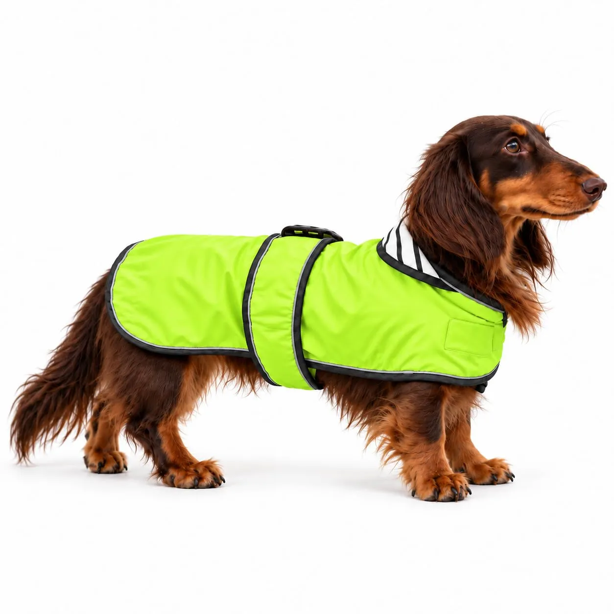 Impermeabile per cani Morezi, taglia regolabile, verde, M - immagine 7