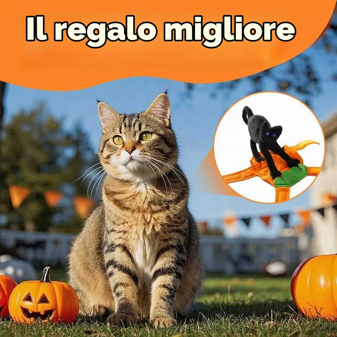 Yesmoyhe Costume di Halloween per Cani e Gatti con Gatto Nero, Taglia M - immagine 5