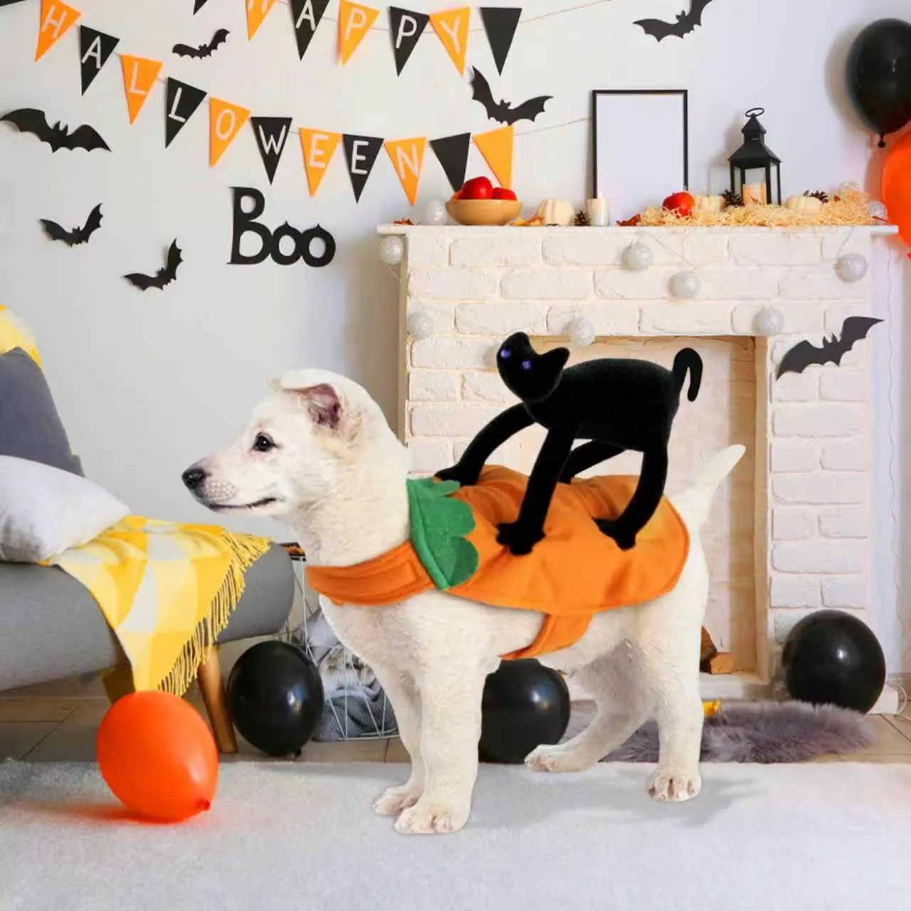 Yesmoyhe Costume di Halloween per Cani e Gatti con Gatto Nero, Taglia L - immagine 7