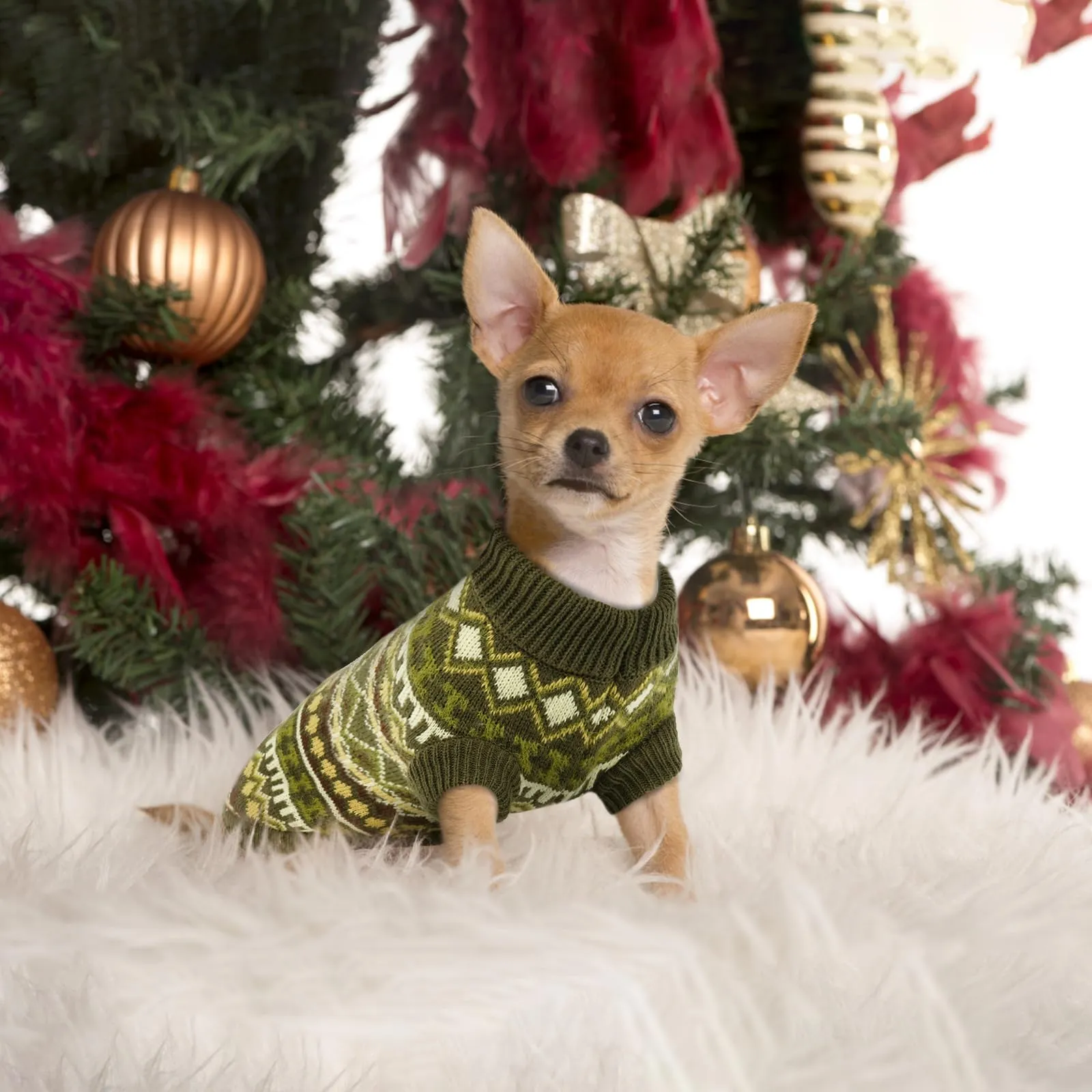 Hjumarayan Maglione in tricot bohémien per cani, Verde Gioiello, Taglia S - immagine 5