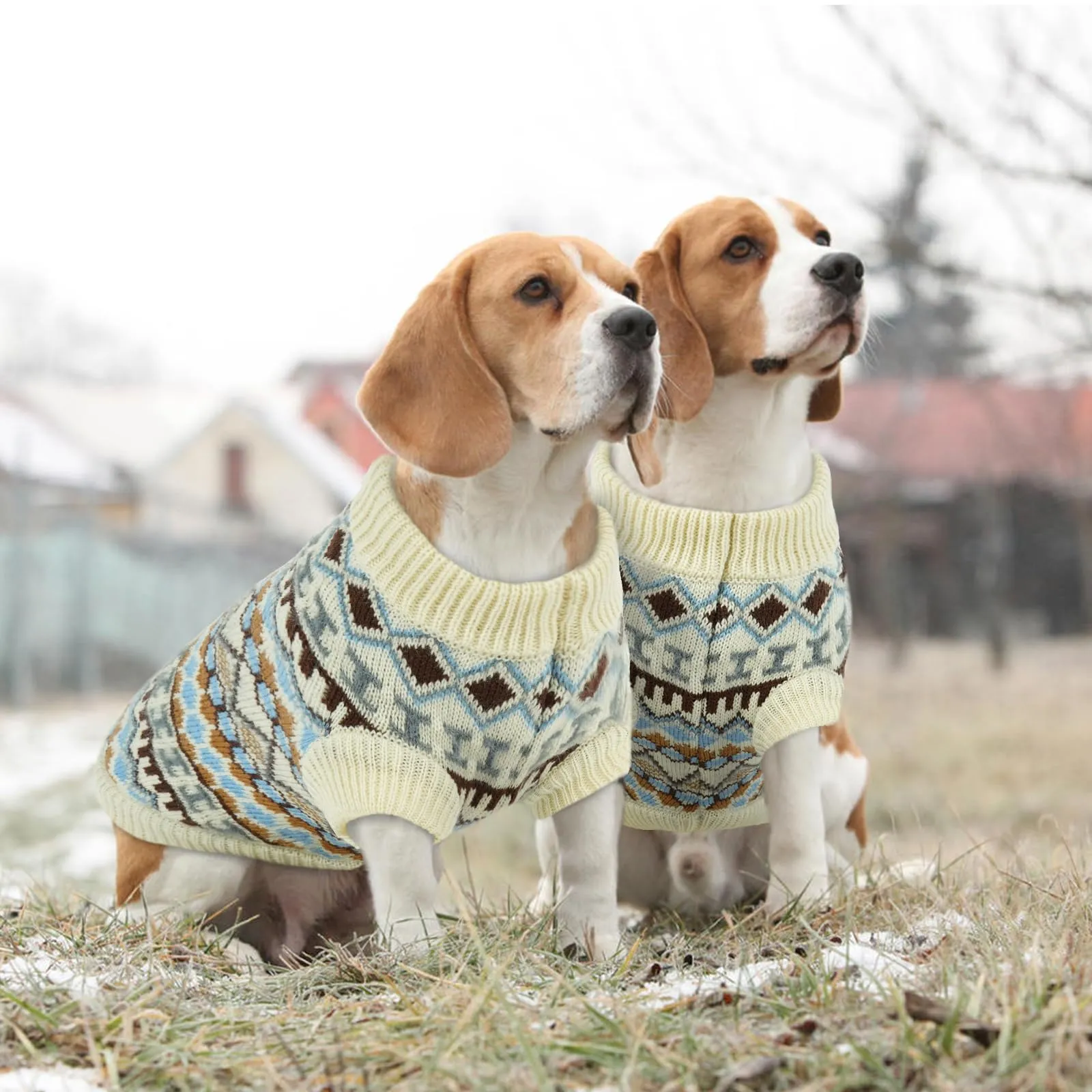 Hjumarayan Maglione per cani stile bohémien, beige, XXL - immagine 7