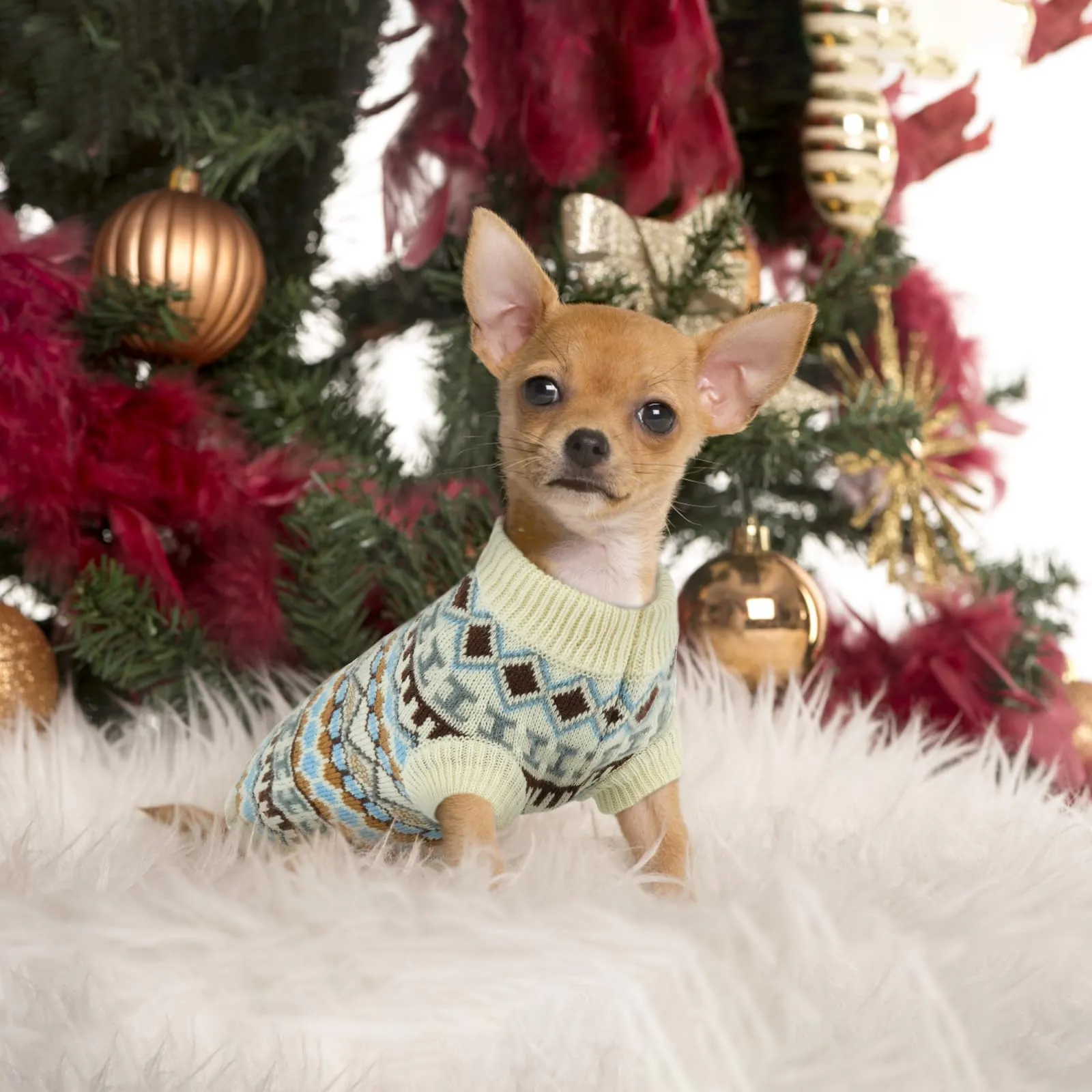 Hjumarayan Maglione per cani stile bohémien con apertura per imbracatura, beige, XS - immagine 5